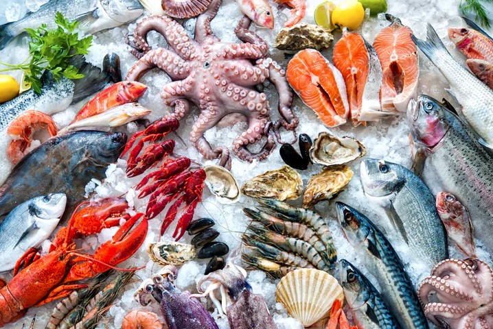 Different kinds of seafood