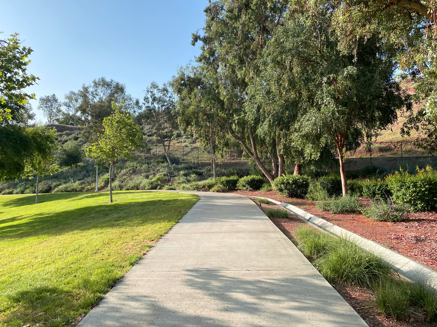 public community park shady sunny hillside walkway sun shadows path clean blue sky sidewalk